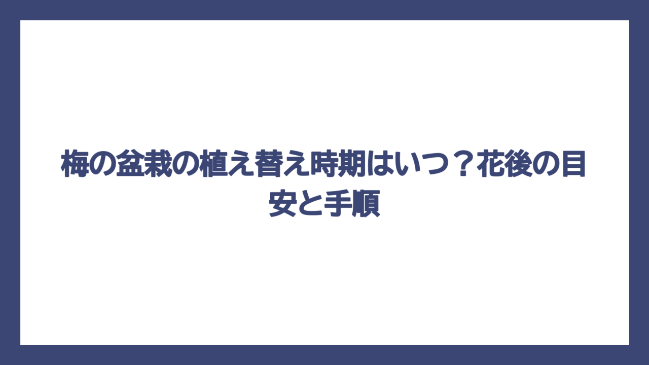 梅の盆栽の植え替え時期はいつ？花後の目安と手順