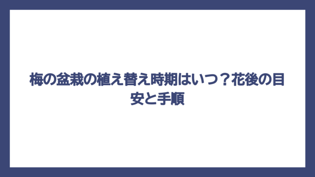 梅の盆栽の植え替え時期はいつ？花後の目安と手順