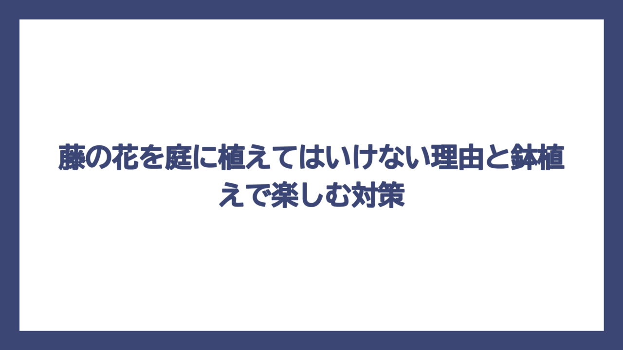 藤の花を庭に植えてはいけない理由と鉢植えで楽しむ対策