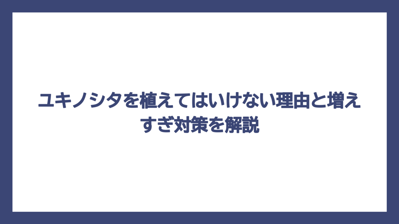 ユキノシタを植えてはいけない理由と増えすぎ対策を解説