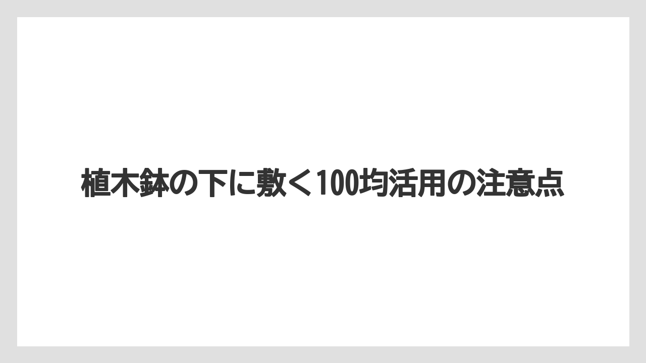 【100均】【サボテン】【プランター】【木】【鉢】100均の植木鉢の種類