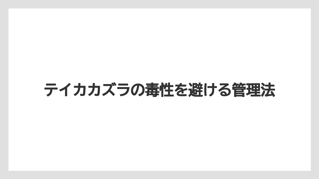 【しそ】【剪定】【危険】【植え】【毒】樹液によるかぶれへの注意