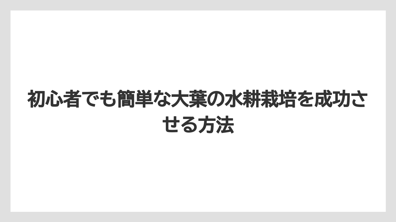 【大葉】【栽培】【水耕栽培】液体肥料の与え方と濃度調整のコツ