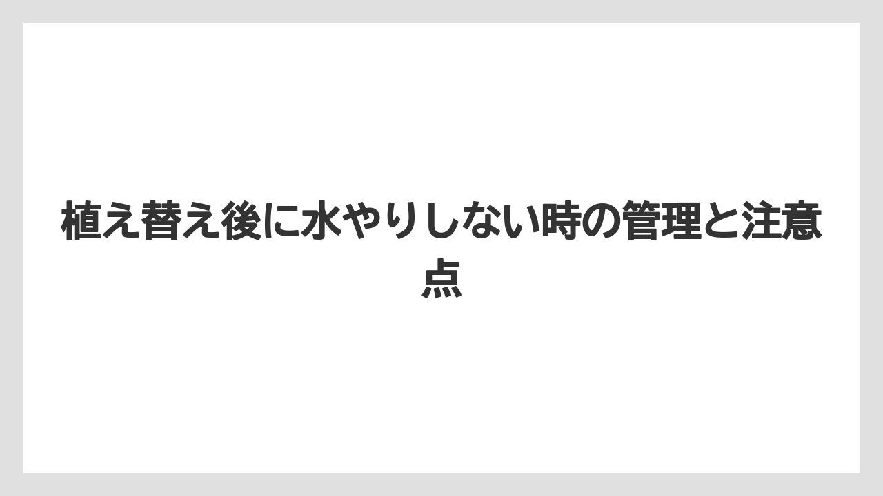 【アガベ】【サボテン】【多肉植物】【栽培】【肥料】冬や梅雨は乾きにくさを優先して考える