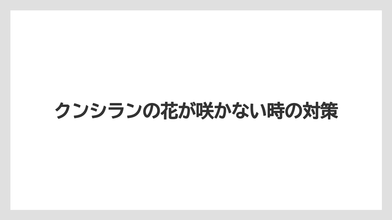 【まりも】【シラン】【水やり】【育て方】【花】根詰まりと鉢の大きさ