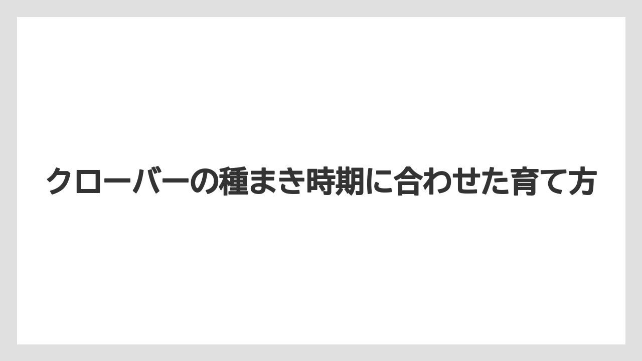 【栽培】【農園】【農業】まず押さえたい実践の順番