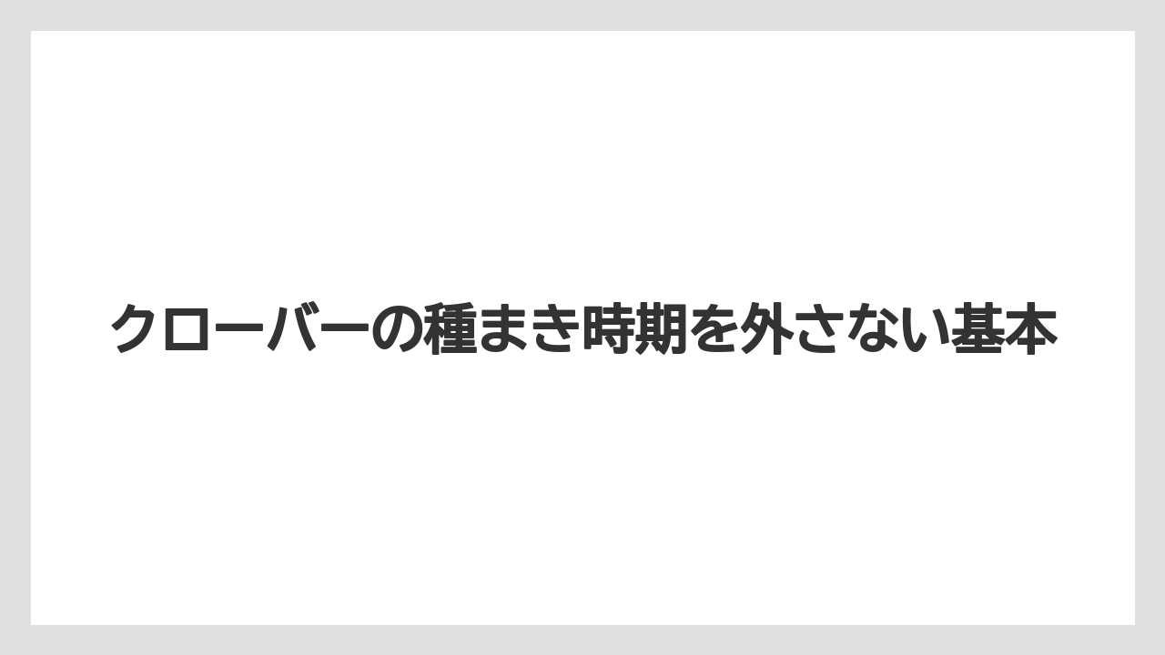 クローバーの種まき時期を外さない基本