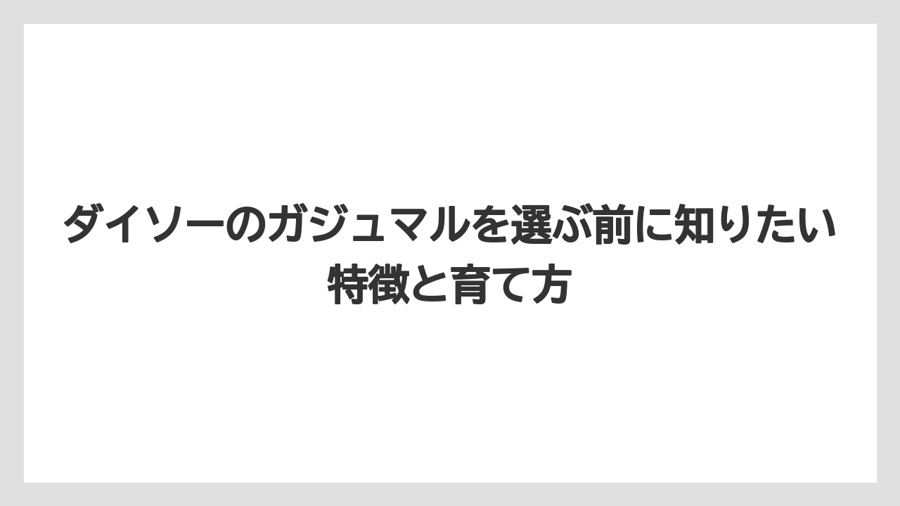 ダイソーのガジュマルを選ぶ前に知りたい特徴と育て方