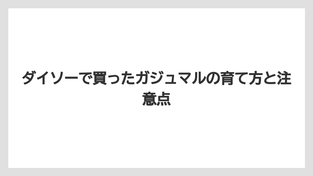 【ガジュマル】【栽培】【育て方】成長速度と大きさの目安