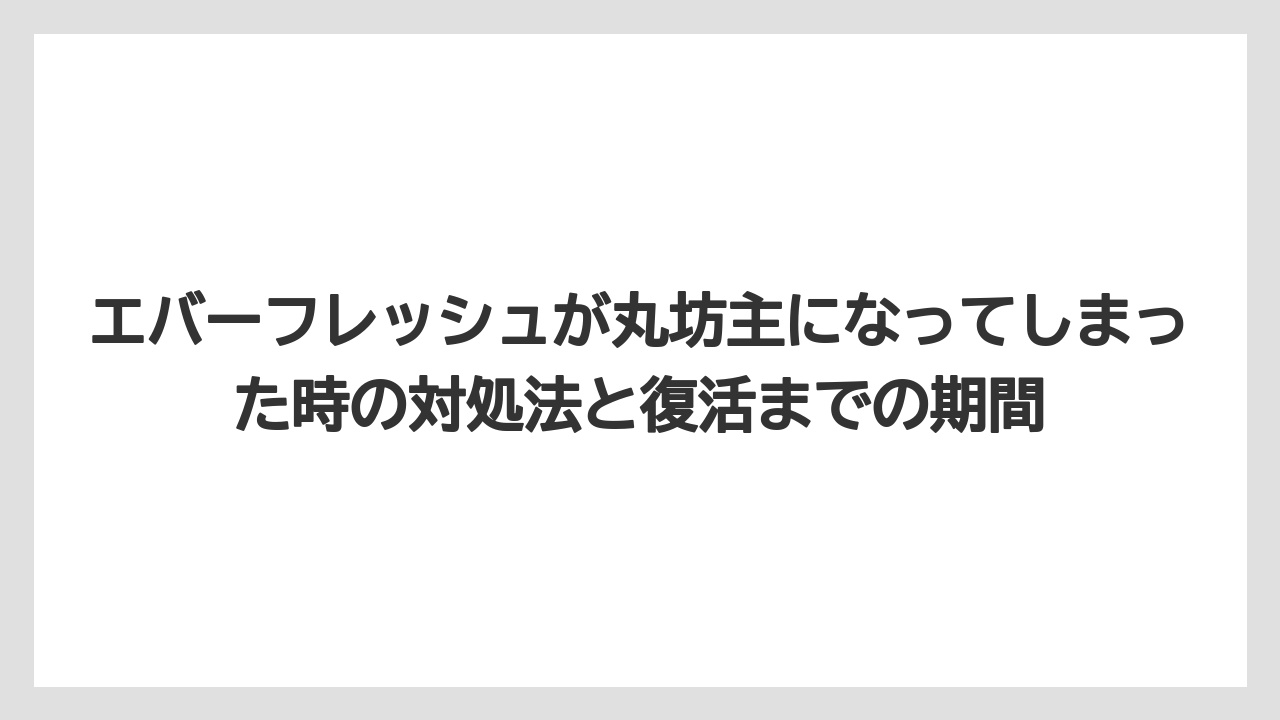 エバーフレッシュが丸坊主になってしまった時の対処法と復活までの期間