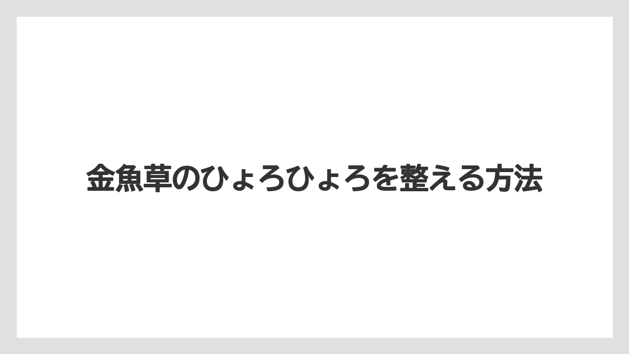 【バラ】【プランター】【水やり】【液体肥料】【草】室内栽培は光量を補う