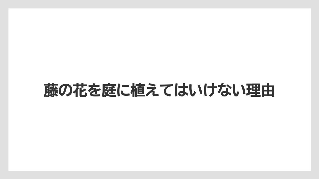 藤の花を庭に植えてはいけない理由