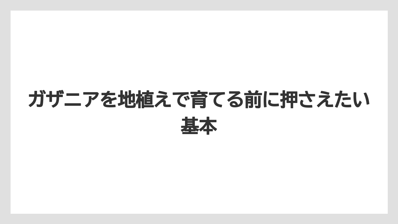 ガザニアを地植えで育てる前に押さえたい基本