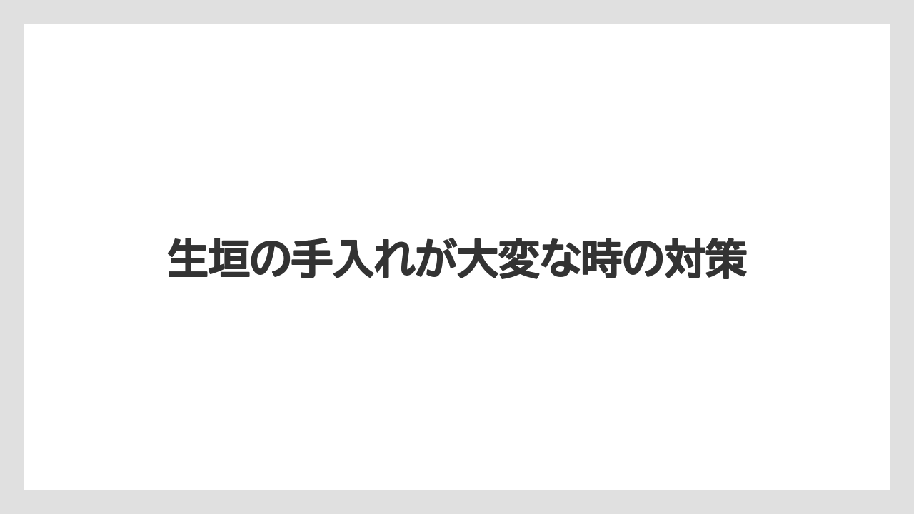 【デメリット】【レッドロビン】【剪定】【害虫】【水やり】キンモクセイ生垣の注意点