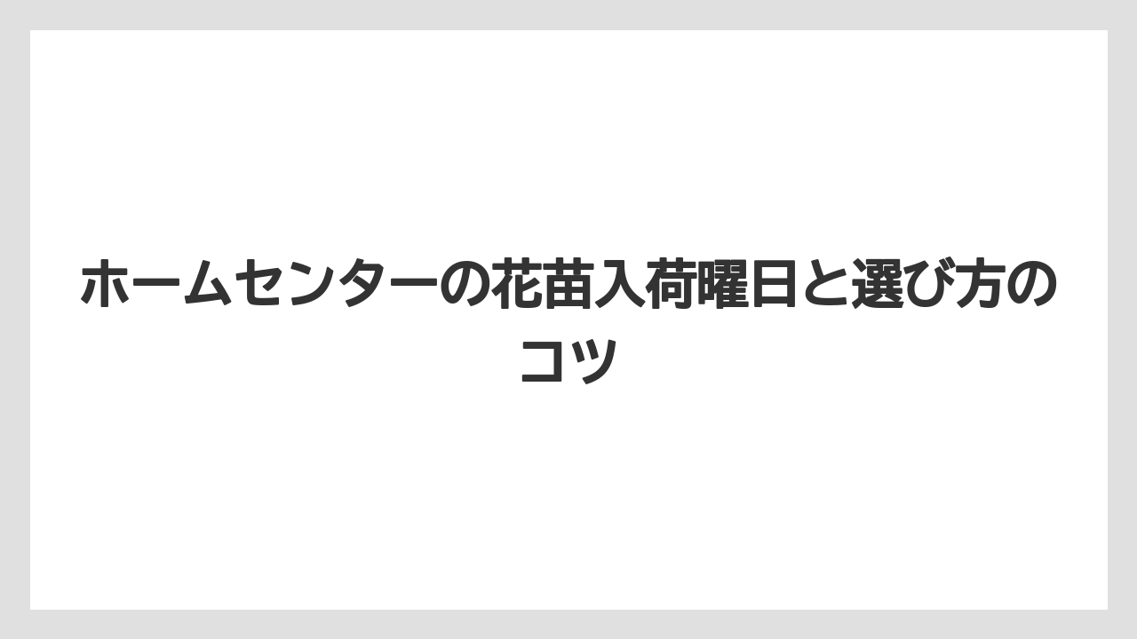 ホームセンターの花苗入荷曜日と選び方のコツ