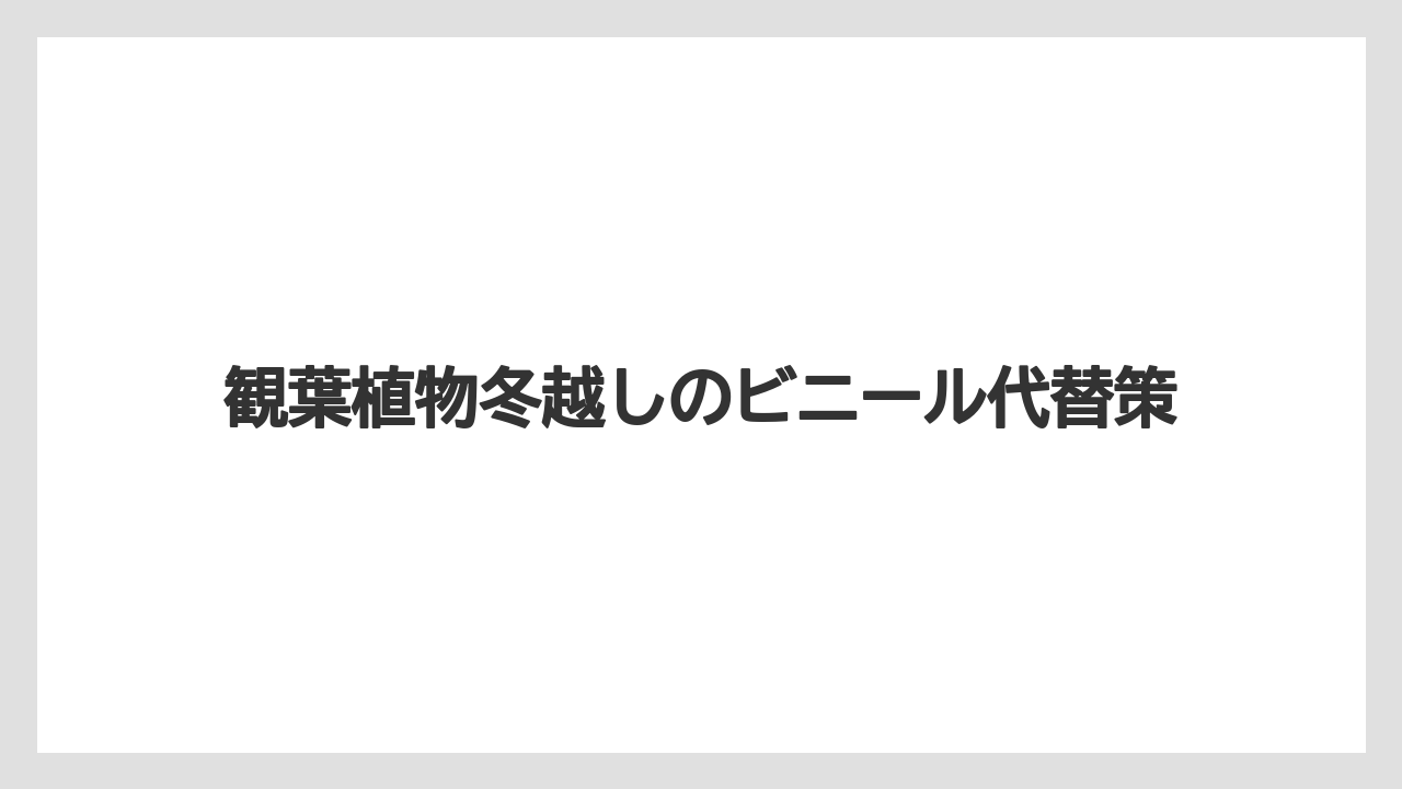 【植物】【水やり】【育て方】【観葉】【越し】鉢と根を冷やさない工夫