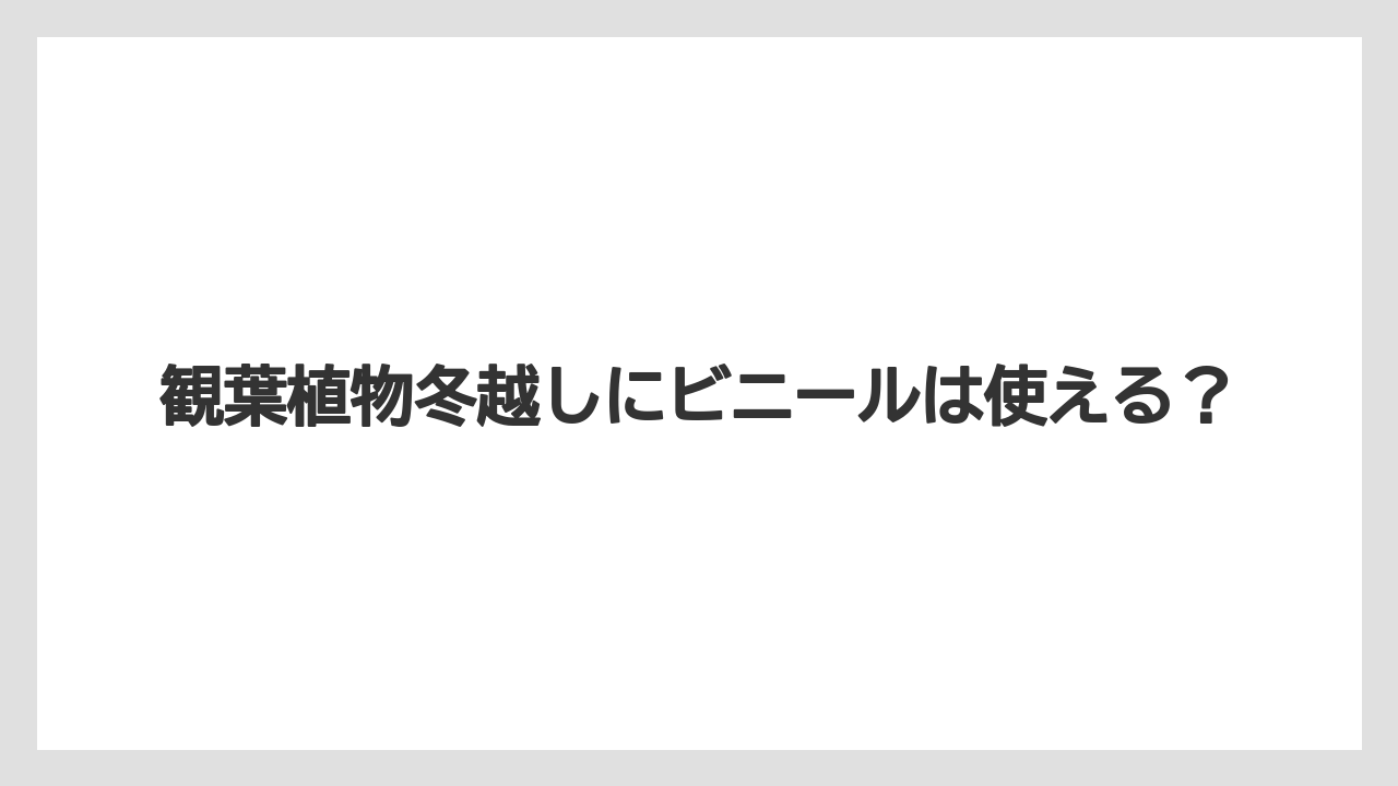 観葉植物冬越しにビニールは使える?