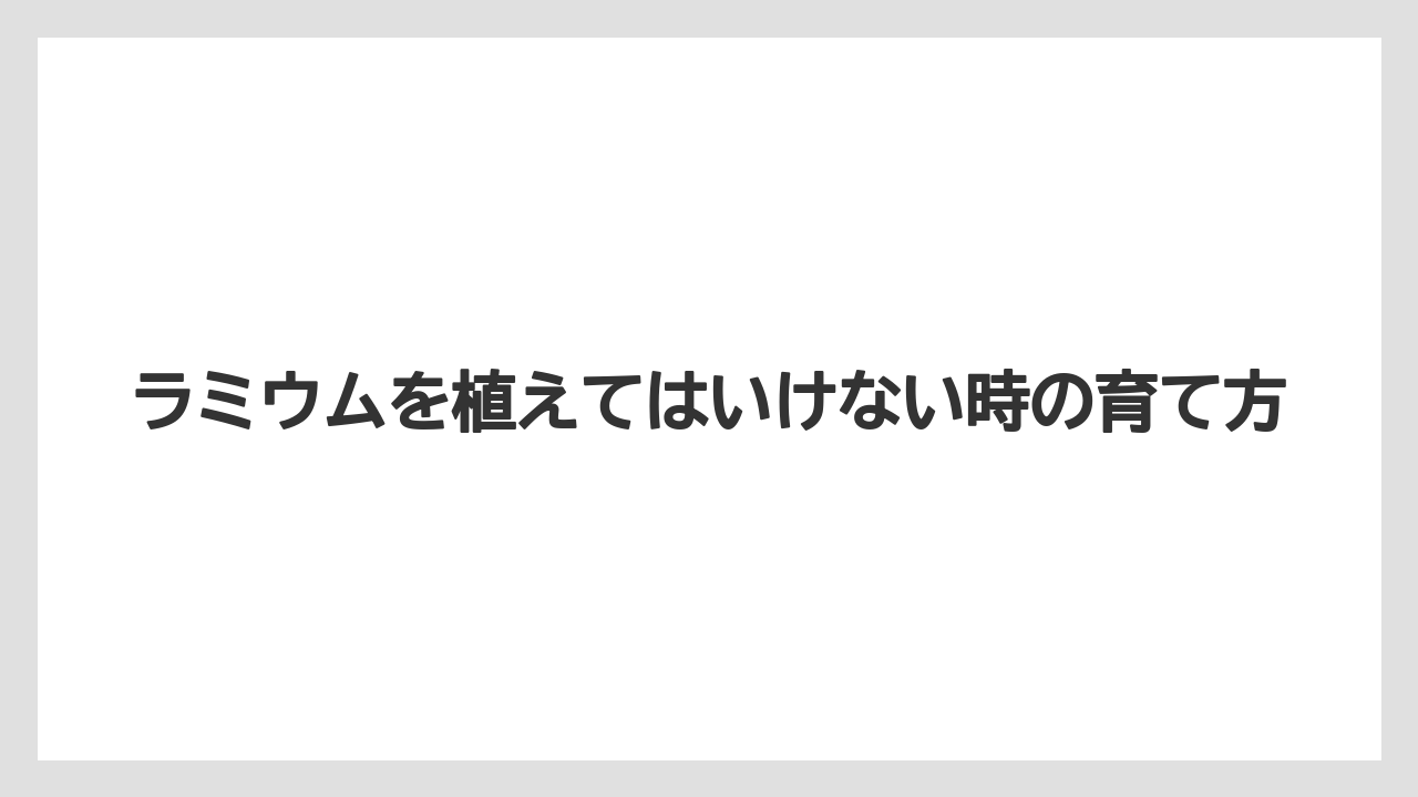 【いけない】【プランター】【植え】【水やり】【育て方】地植えで後悔しやすい場所