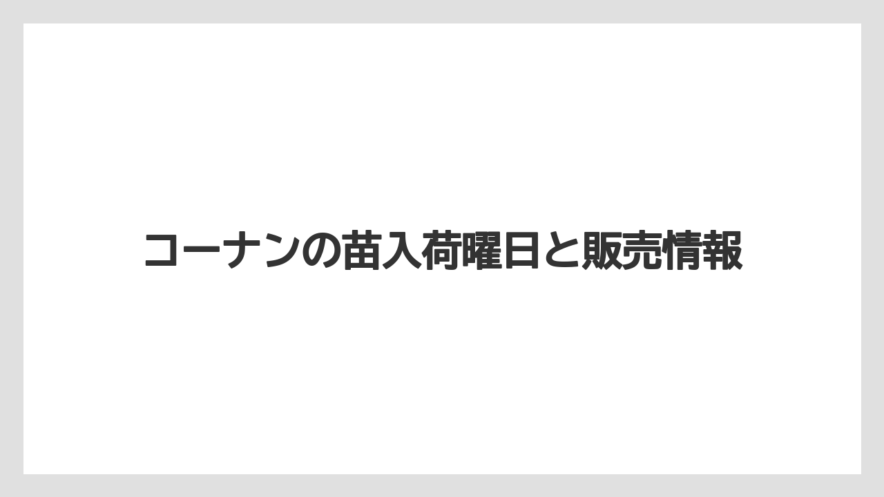 コーナンの苗入荷曜日と販売情報