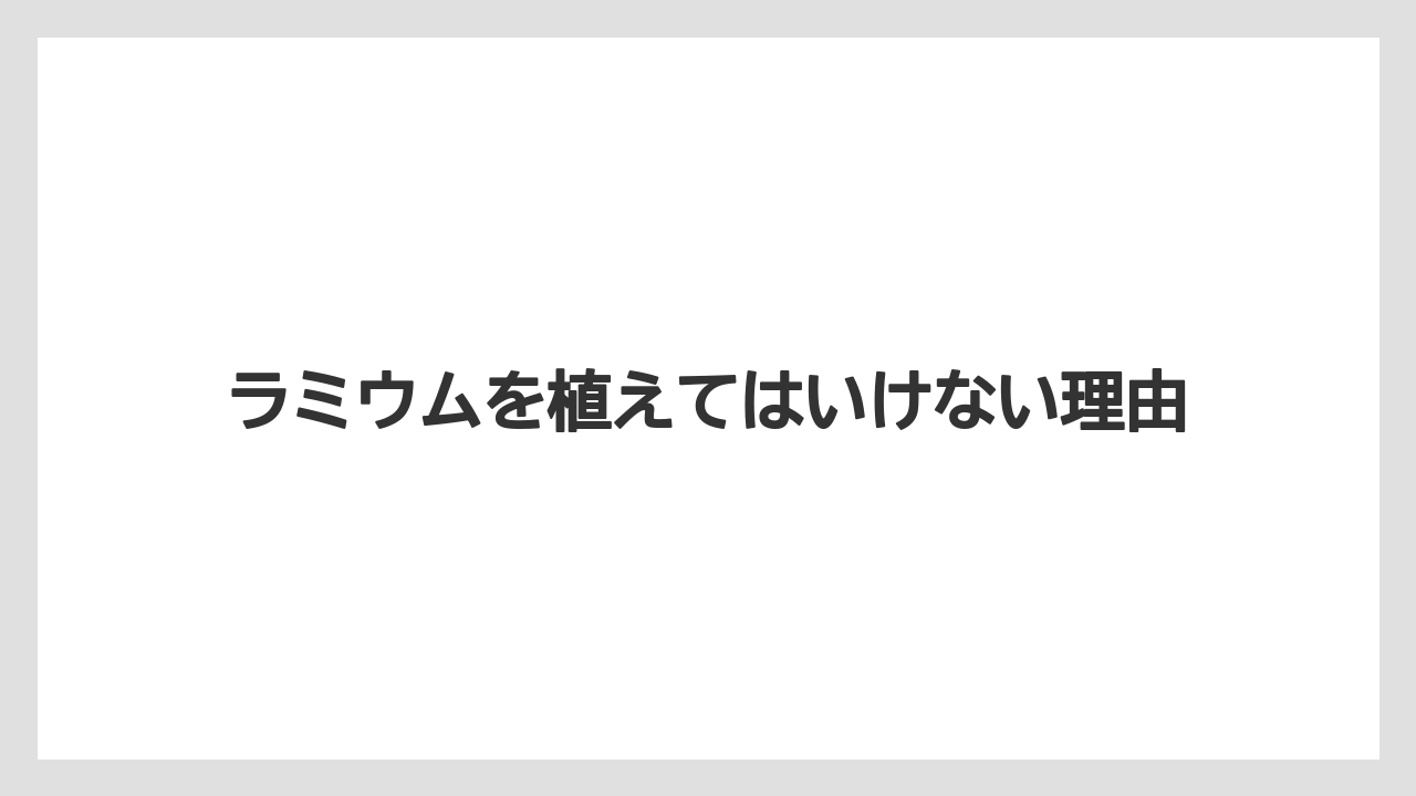 ラミウムを植えてはいけない理由