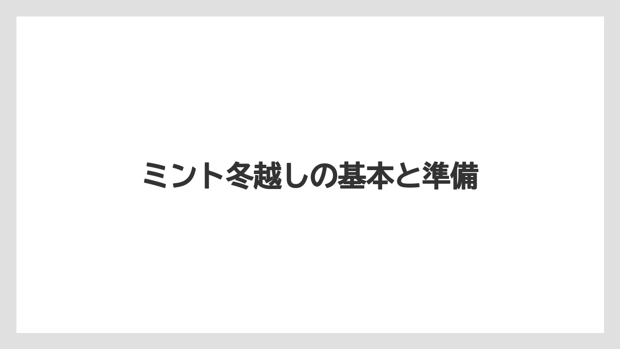 ミント冬越しの基本と準備