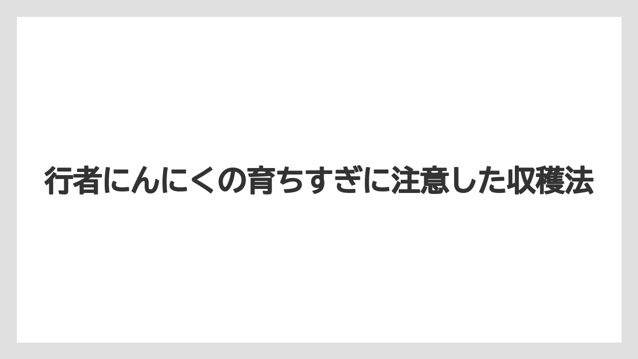 行者にんにくの育ちすぎに注意した収穫法