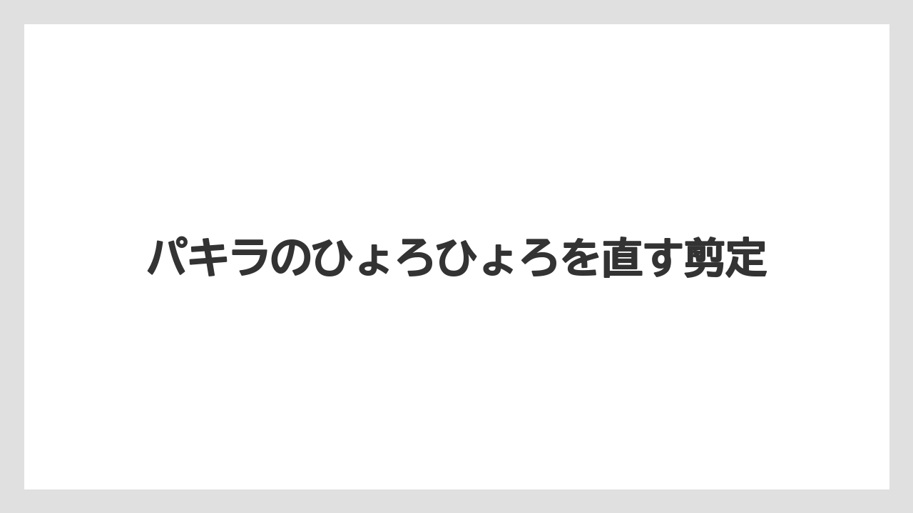 【バラ】【パキラ】【剪定】【水やり】【育て方】倒れやすい時の見分け方
