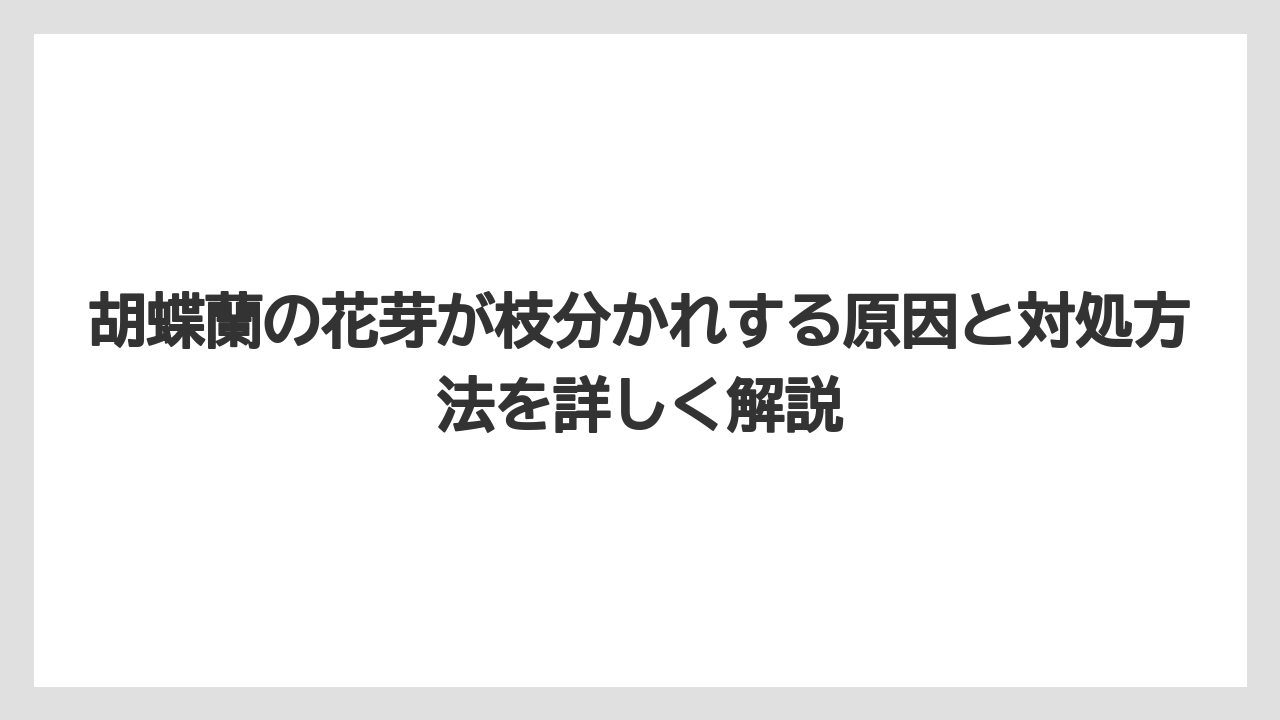 胡蝶蘭の花芽が枝分かれする原因と対処方法を詳しく解説