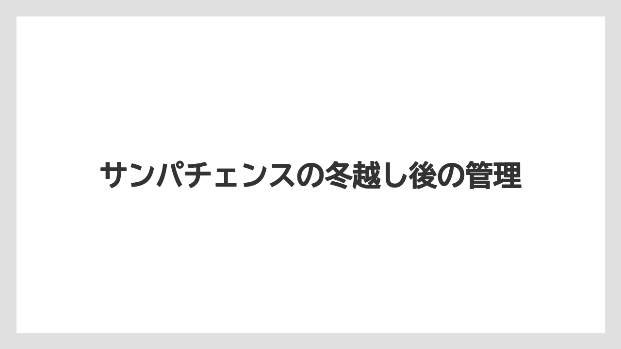 【バラ】【害虫】【枯れ】【水やり】【越し】冬の水やりと置き場所