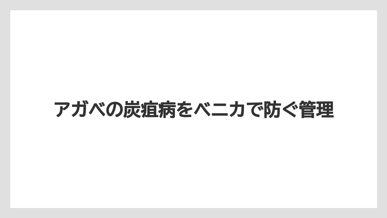 【うどんこ】【アガベ】【ベニカ】【ベニカX】【水やり】サビ病や薬害との見分け方