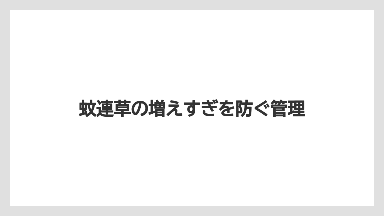 【プランター】【剪定】【植え】【草】【越し】ローズゼラニウムとの違い
