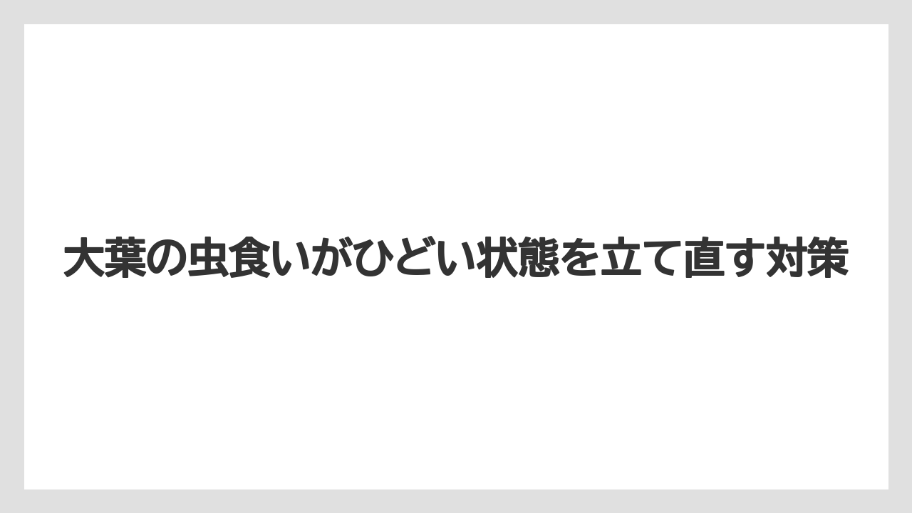 【コーヒー】【大葉】【栽培】虫食い葉を食べるか迷う時は見た目より衛生面を先に確認すること