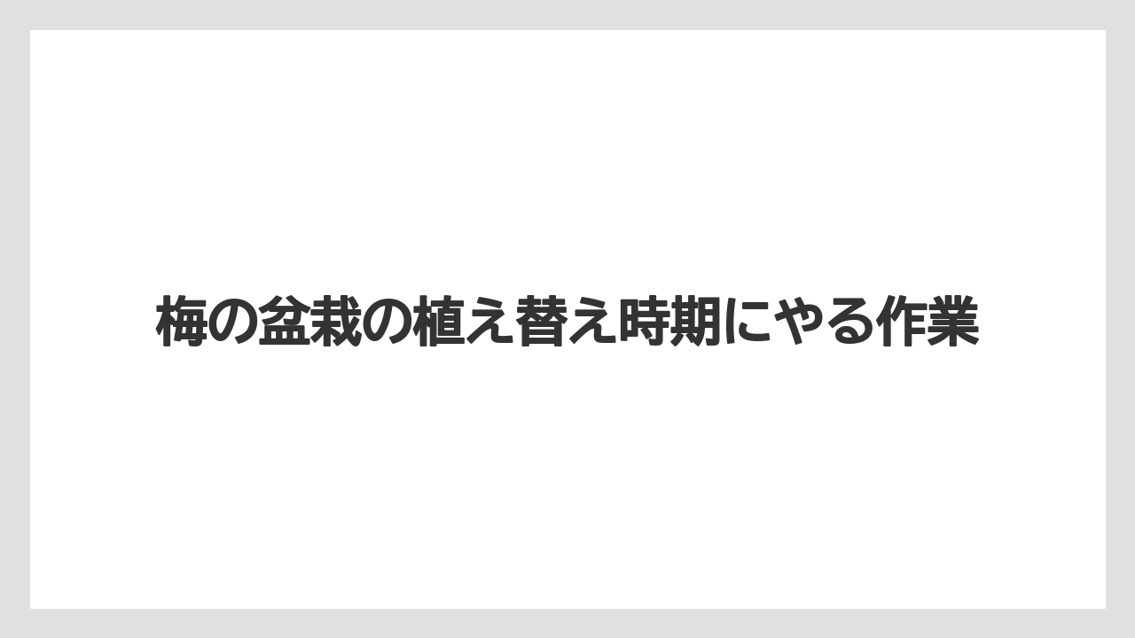 【剪定】【植え】【水やり】【育て方】【花】根詰まりのサインを見る