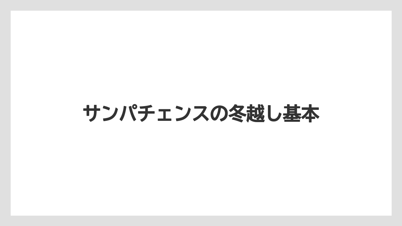 サンパチェンスの冬越し基本