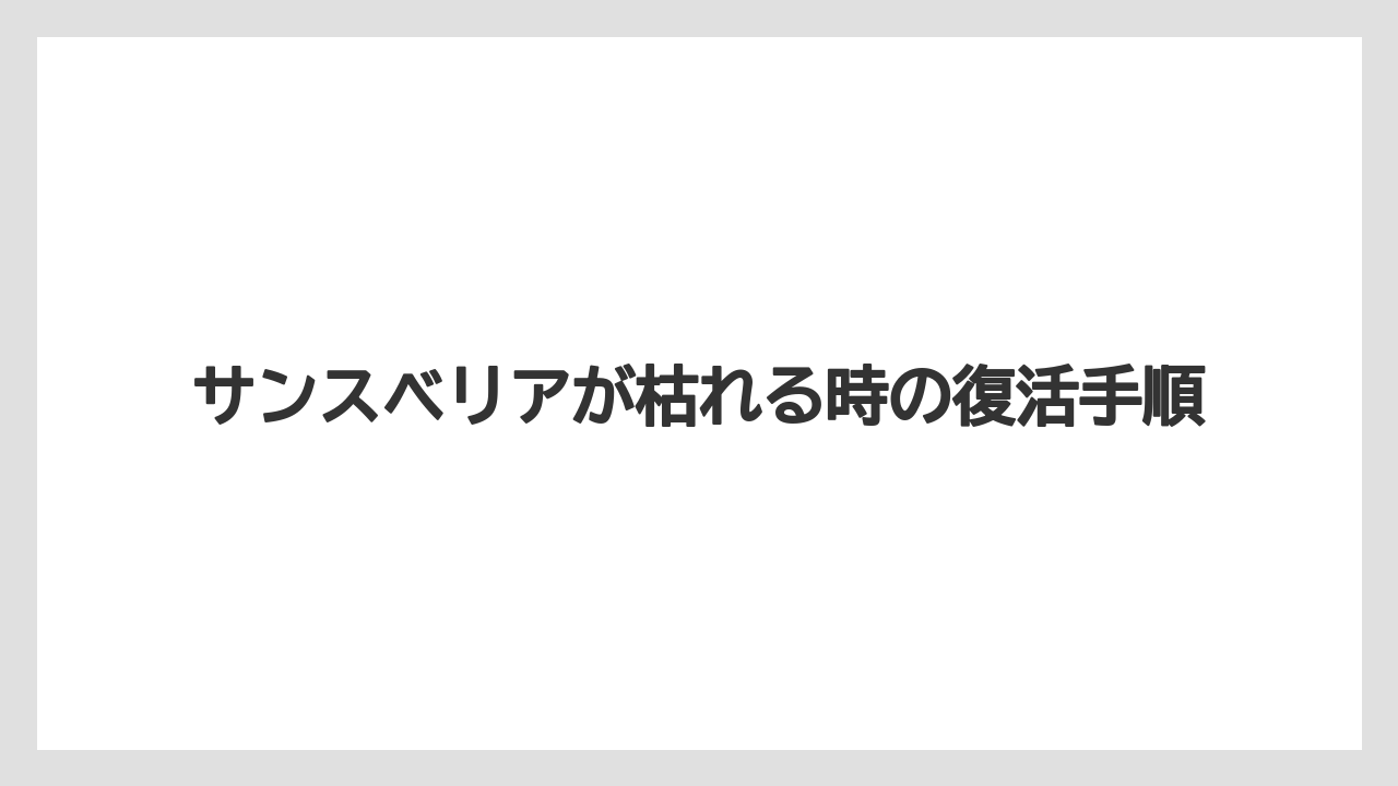 【いけない】【サンスベリア】【サンセベリア】【枯れ】【水やり】土の異臭は早めに確認