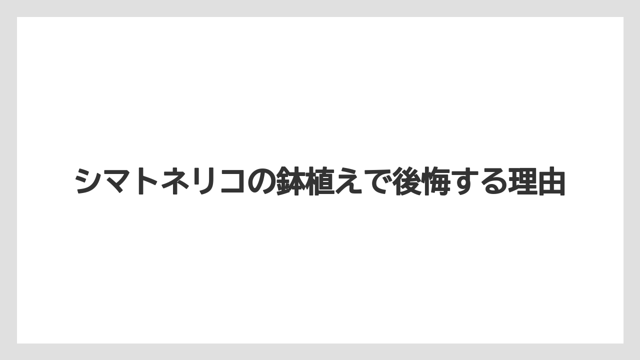シマトネリコの鉢植えで後悔する理由