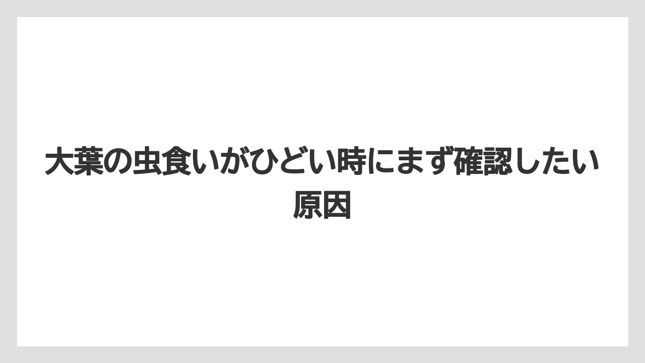 大葉の虫食いがひどい時にまず確認したい原因