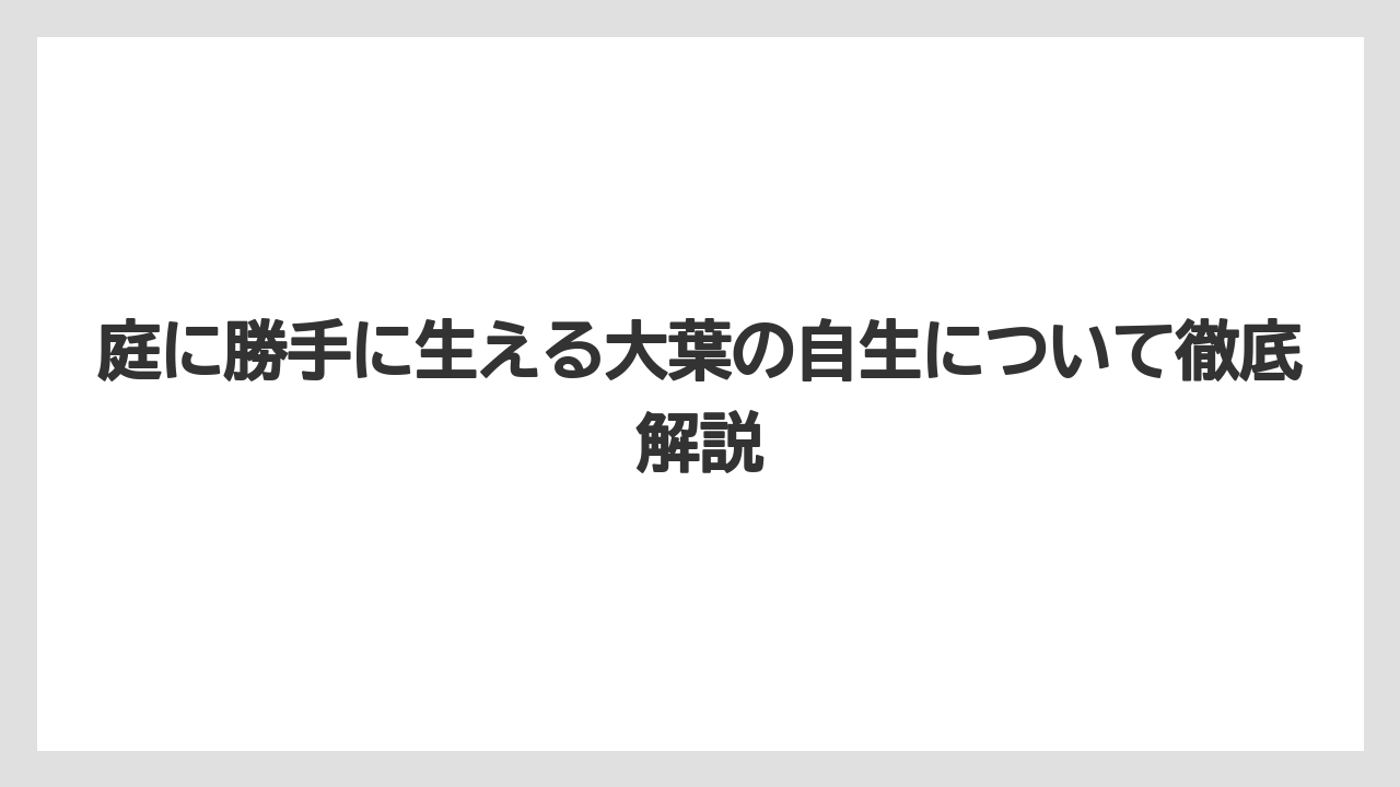 庭に勝手に生える大葉の自生について徹底解説