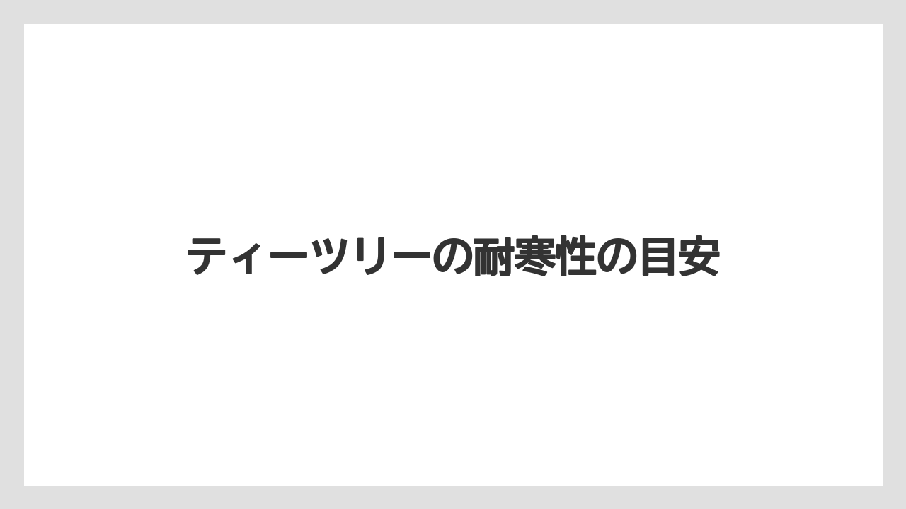 ティーツリーの耐寒性の目安