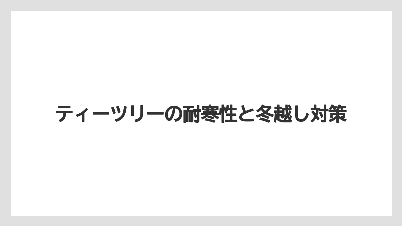【バラ】【支柱】【水やり】【育て方】【越し】苗の大きさで変わる寒さ