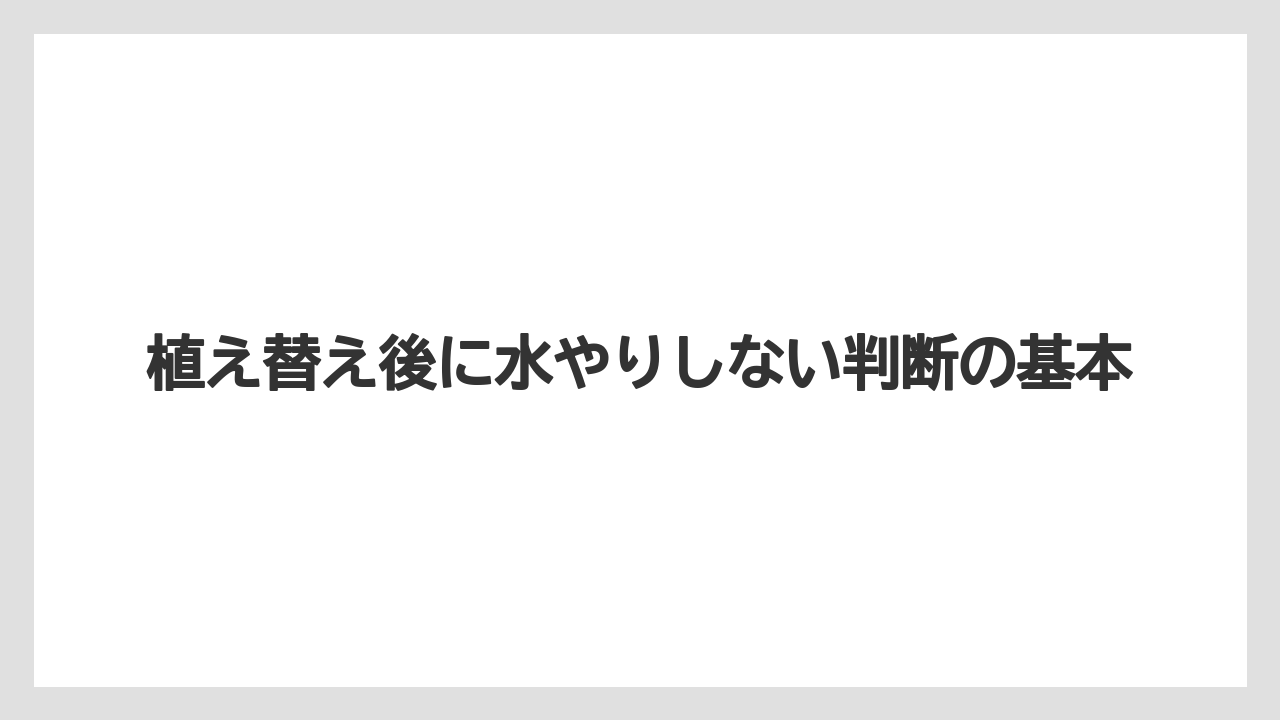 植え替え後に水やりしない判断の基本