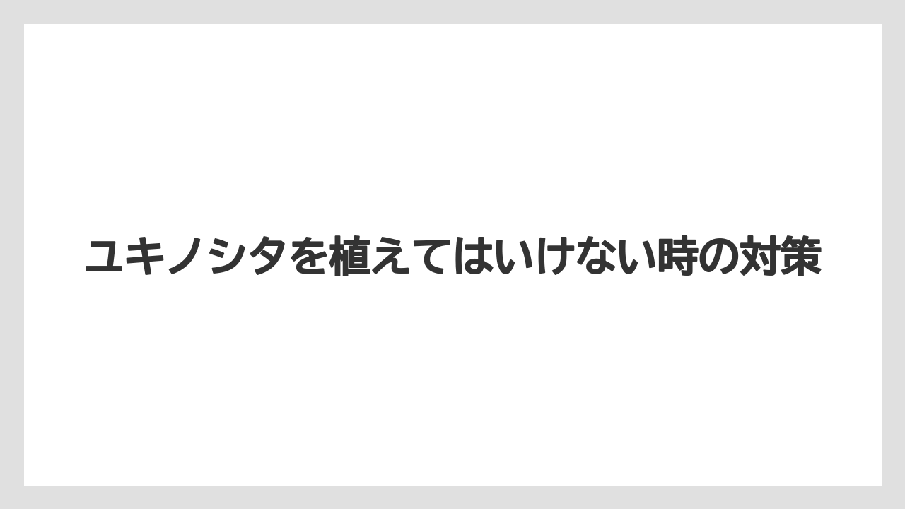 【いけない】【プランター】【植え】【水やり】【水耕栽培】風水で気にされる湿気