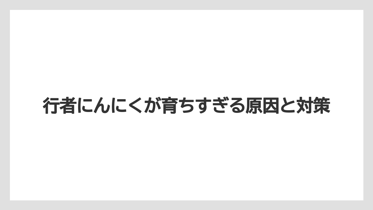 【栽培】【育ち】【行者にんにく】育ちすぎた行者にんにくの活用法