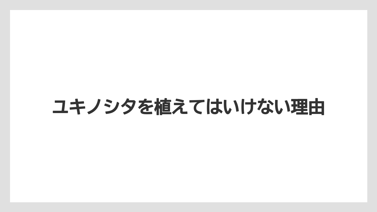 ユキノシタを植えてはいけない理由