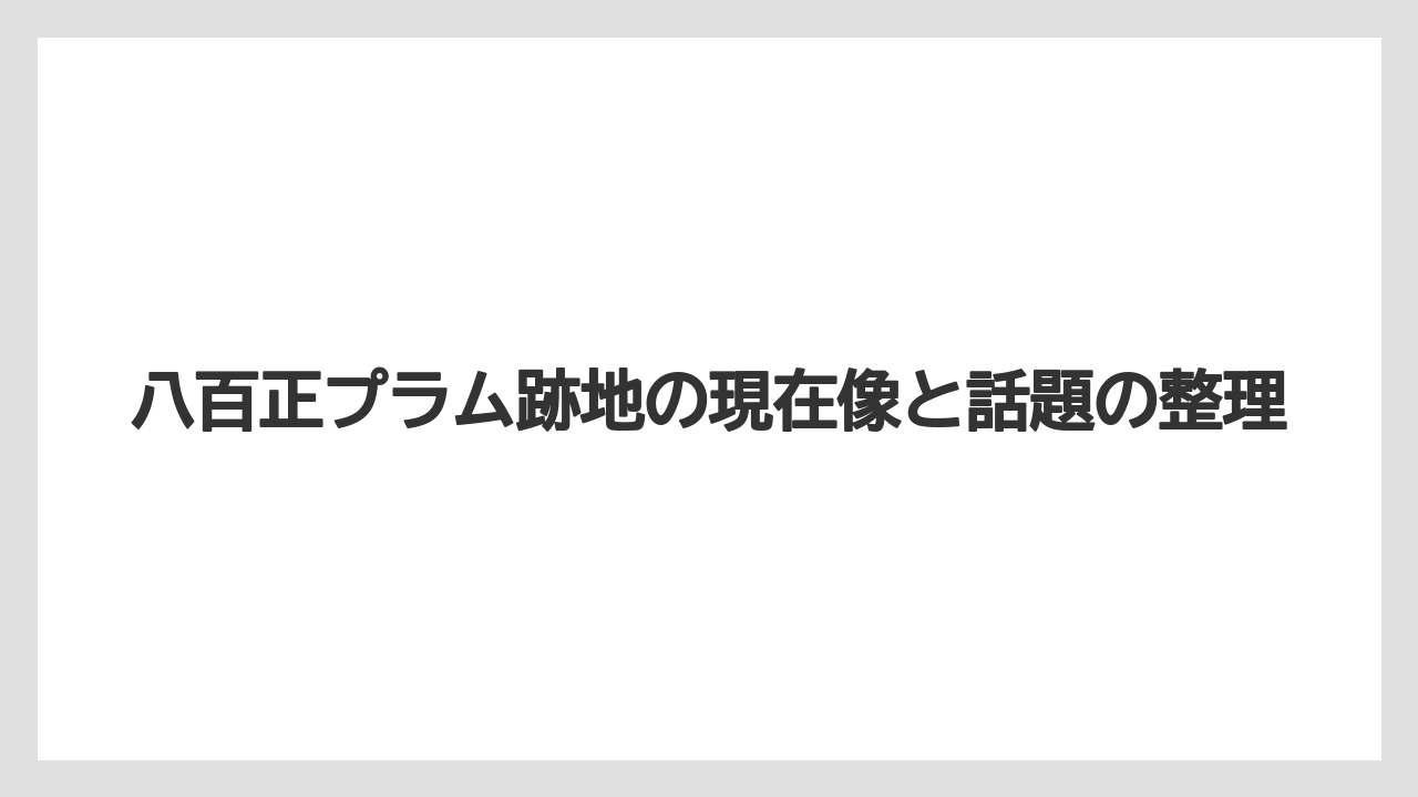 八百正プラム跡地の現在像と話題の整理