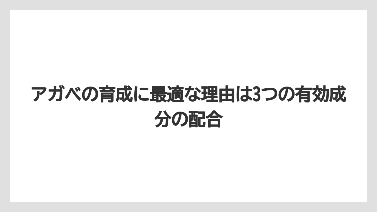 【アガベ】【リキダス】【栽培】アガベの育成に最適な理由は3つの有効成分の配合