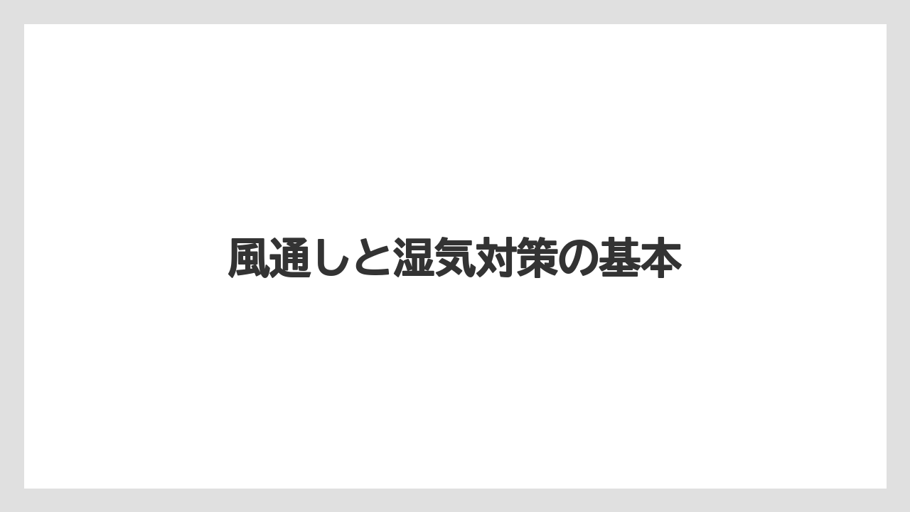 【うどんこ】【アガベ】【ベニカ】【ベニカX】【水やり】風通しと湿気対策の基本