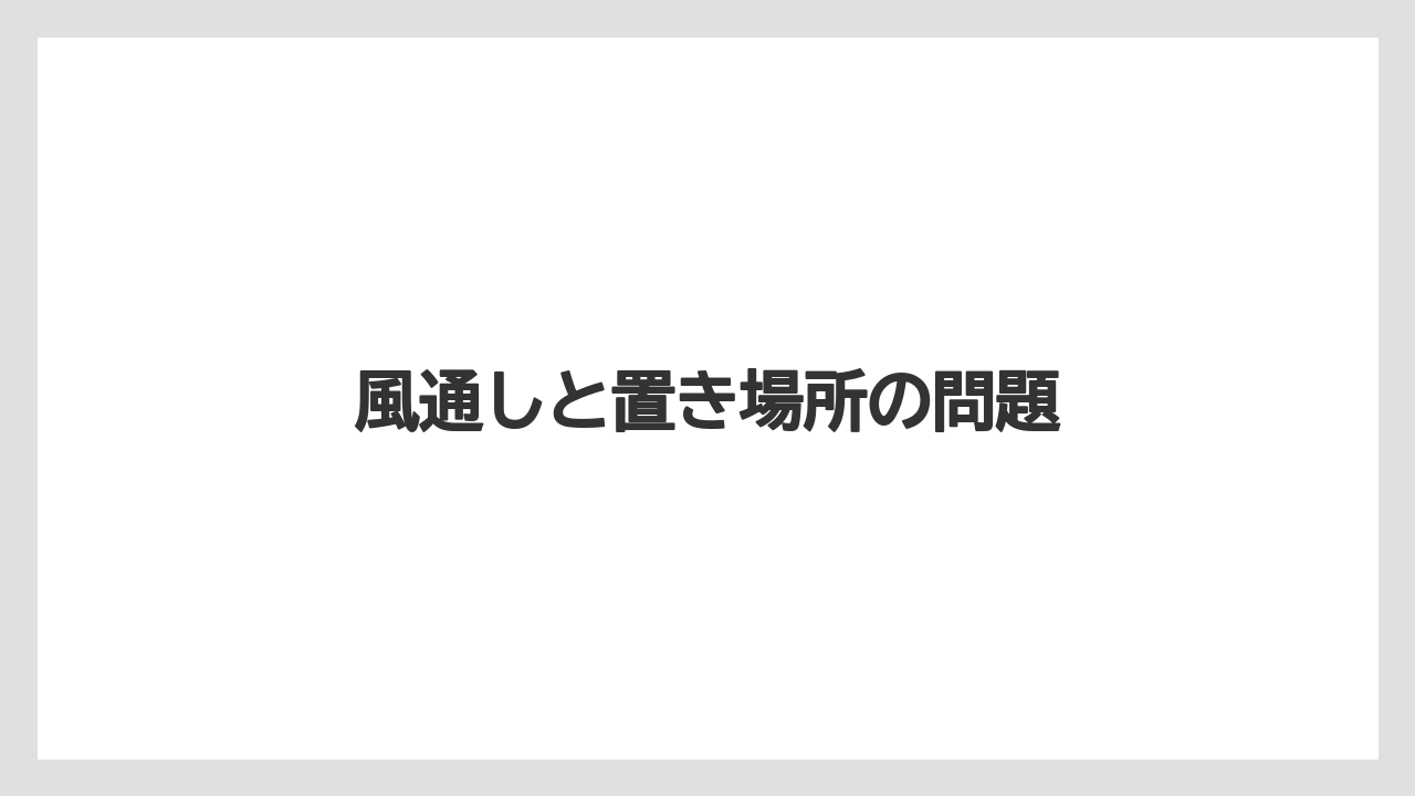【バラ】【パキラ】【剪定】【水やり】【育て方】風通しと置き場所の問題