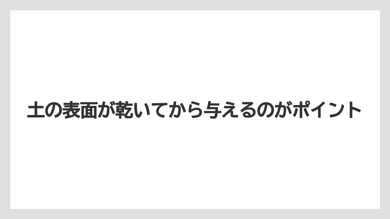 【ハイポネックス】【栽培】【農業】土の表面が乾いてから与えるのがポイント