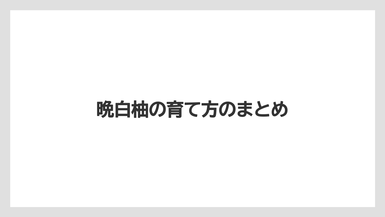 【レモン】【木】【水やり】【育て方】【苗】晩白柚の育て方のまとめ